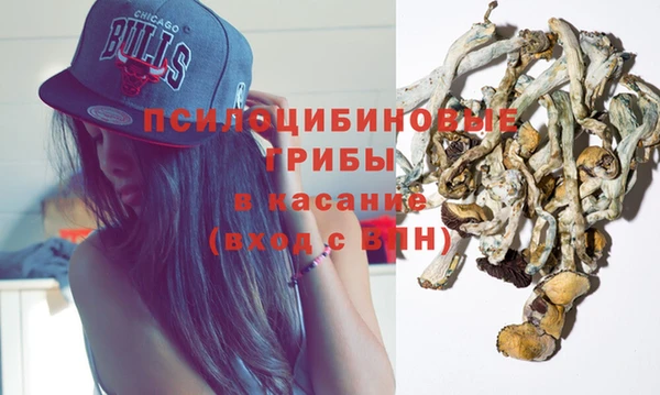 apvp Лиски