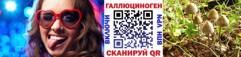 Псилоцибиновые грибы Psilocybe  где найти наркотики  Суворов 